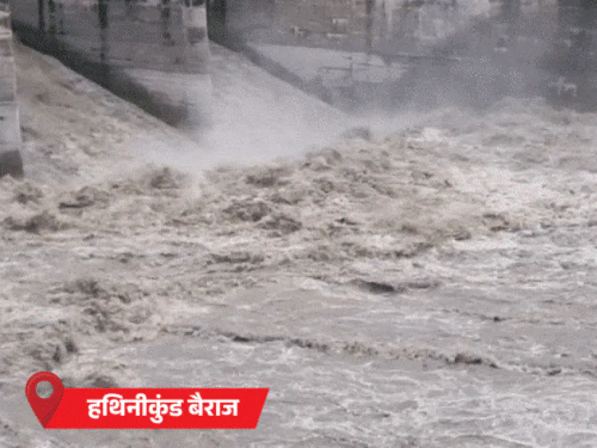 हरियाणा में घग्गर का जलस्तर बढ़ा, प्रशासन का अलर्ट:सांप ने 3 साल का बच्चा डसा; रोहतक में युवक डूबा; मोरनी हिल्स में लैंडस्लाइड