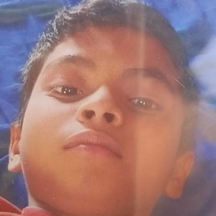 आजमगढ़ में जहरीले सांप के काटने से छात्र की मौत:परिवार में मचा कोहराम, इलाज के दौरान अस्पताल में हुई मौत