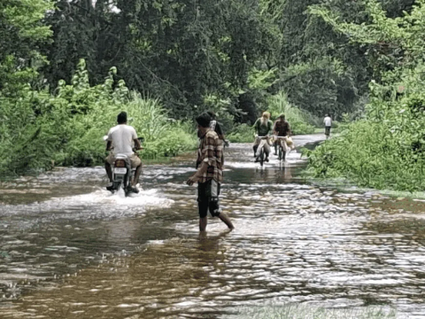 मेरठ के खादर क्षेत्र में गंगा उफान पर:बिजनौर बैराज के सभी गेट खुले, 12 से अधिक गांव जलमग्न