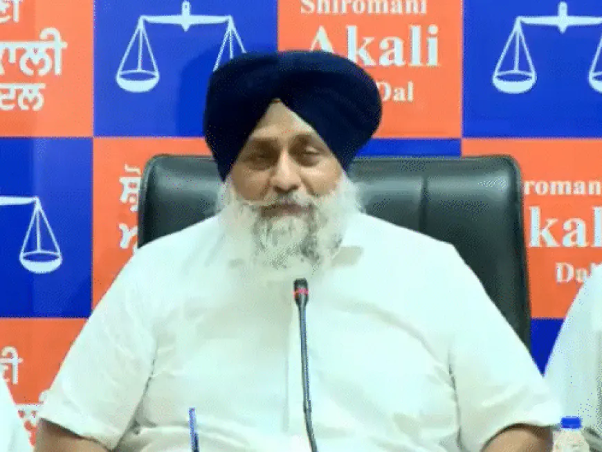 पंजाब लैंड पूलिंग पॉलिसी पर SAD की इमरजेंसी मीटिंग:कोर-वर्किंग कमेटी व जिला प्रेसिडेंट होंगे शामिल, 18 महासचिव किए नियुक्त
