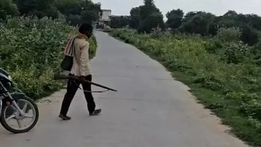 Rajasthan News: अधेड़ ने ढूंढ-ढूंढ कर 25 कुत्तों को मारी गोली, पूरा किया गांव वालों का बदला, जानें मामला