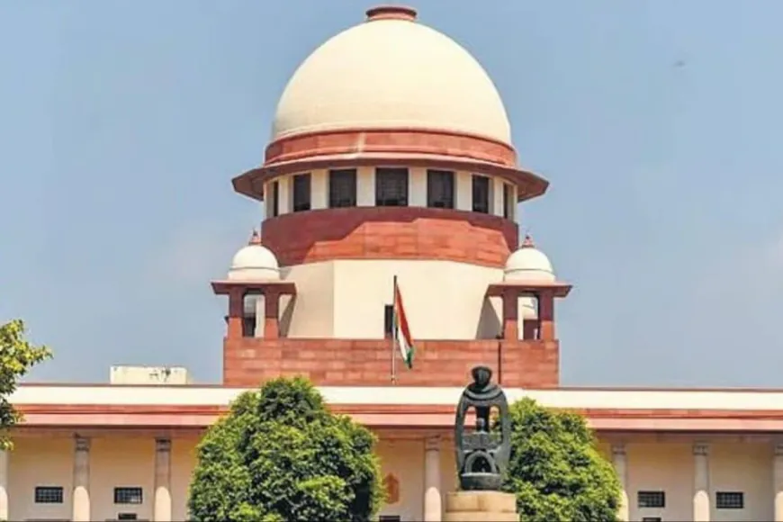 'Judges Can't Claim Immunity If...': SC's Big Observation During Justice Varma's Plea Hearing