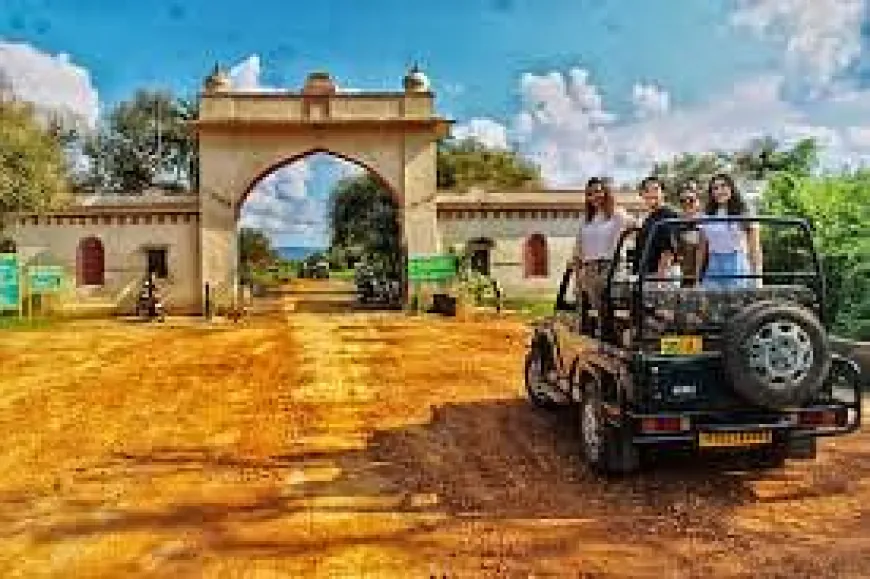 Sariska News: सुप्रीम कोर्ट से राजस्थान सरकार को झटका, सरिस्का टाइगर रिजर्व के बफर जोन में बदलाव को खारिज किया