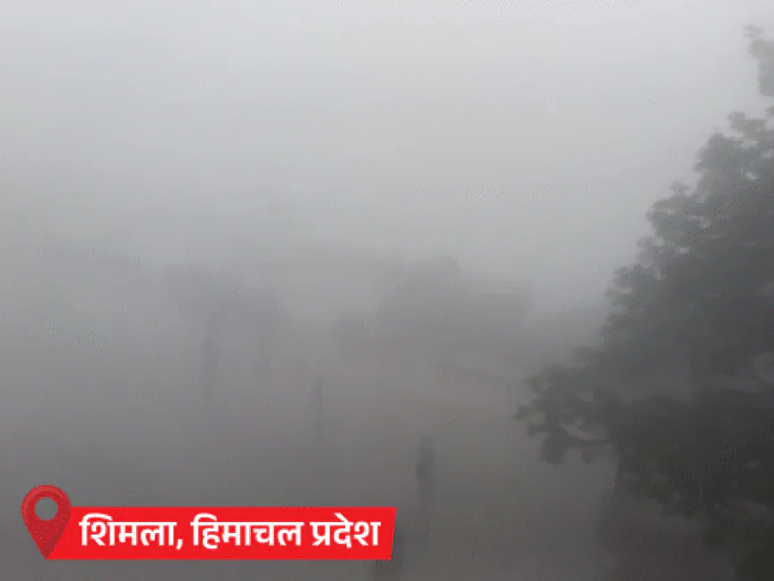 बिहार के 7 जिलों में बाढ़, 10 लाख लोग प्रभावित:हिमाचल में 360 से ज्यादा सड़कें बंद, उत्तराखंड में 1000 लोगों का रेस्क्यू