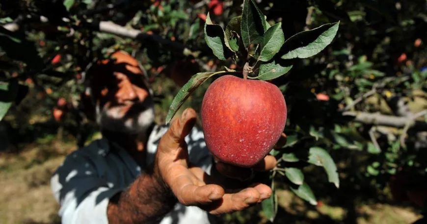 Kashmir apple train service off to a strong start with full bookings